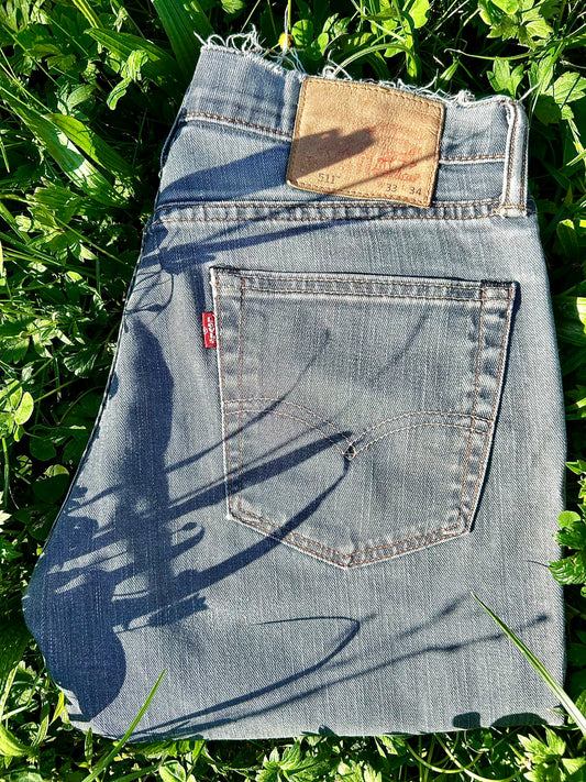Jean Levi’s 511